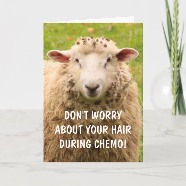 Chemo Support Funny Sheep Card (Front)