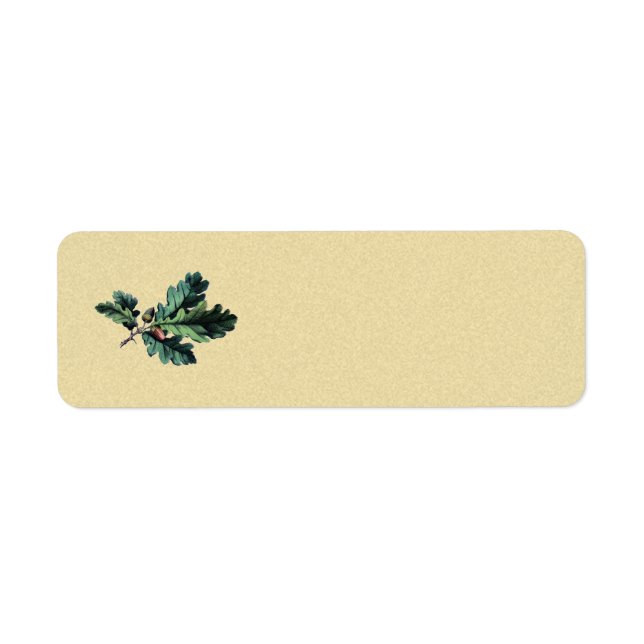 chêne acryn vintage (Devant)