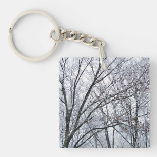Chêne couvert de neige