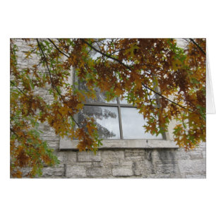 Chêne de l'automne de St Paul