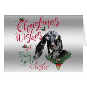CHÈQUE   Noël Voeux Bébé Chèvre Baisers Nubian