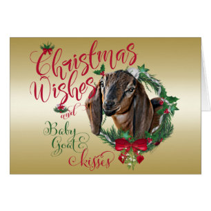 CHÈQUE   voeux de Noël Bébé Chèvre Baisers Nubian 