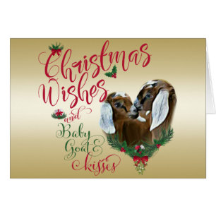 CHÈQUE   voeux de Noël Bébé Chèvre Baisers Nubiens