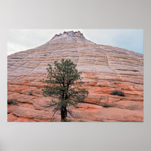 Chequerboard Mesa Zion National Park Poster