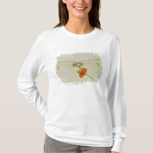 Chequered Setwing (Dythemis fugax) on Mexican T-Shirt