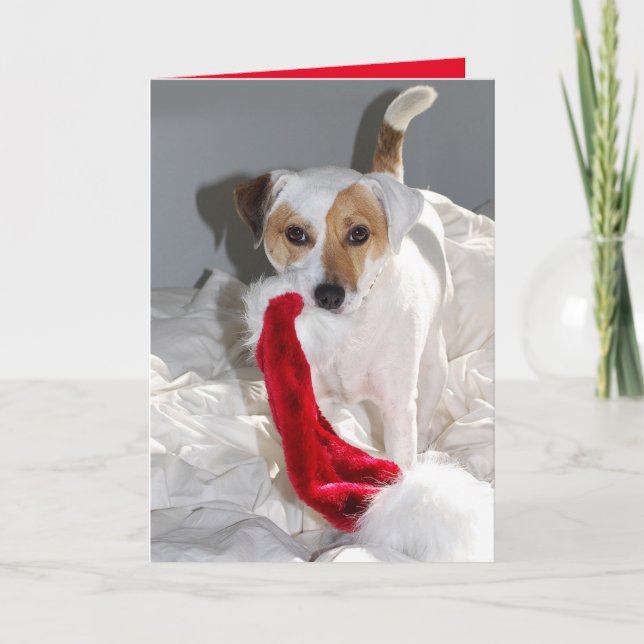 Chère Mme Claus JRT Carte de vacances (Devant)