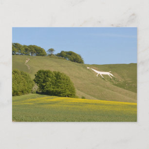 Cherhill, Wiltshire, England Chalk Horse Postcard
