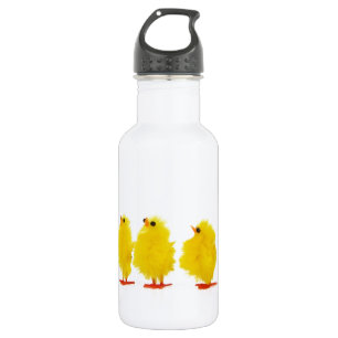 Cherie's 532 Ml Water Bottle