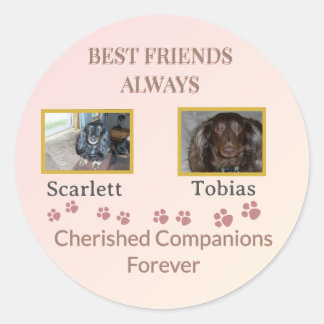 Cherished Companions Pawprint Classic Round Sticker