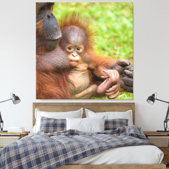 Cherished Orangutan Mother's Cuddle Canvas Print (Insitu(Bedroom))