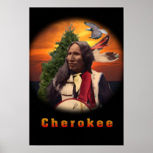 Cherokee indians designs poster