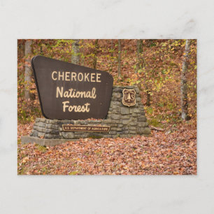 Cherokee National Forest sign in fall in Tennessee Postcard