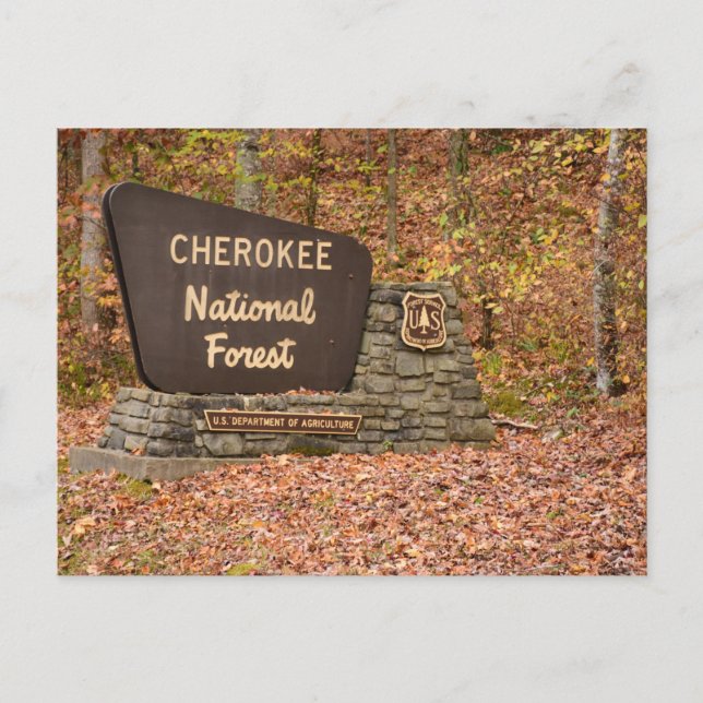 Cherokee National Forest sign in fall in Tennessee Postcard (Front)