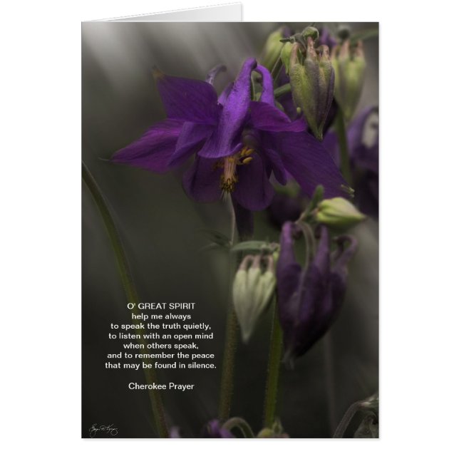 Cherokee Prayer, Columbine in the Sunlight (Front)