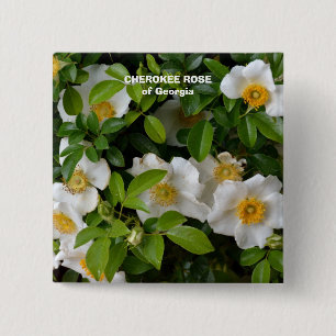 Cherokee Rose 2 Inch Square Button