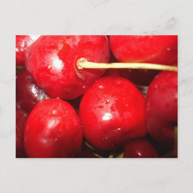Cherries Art Photo Postcard (Front)