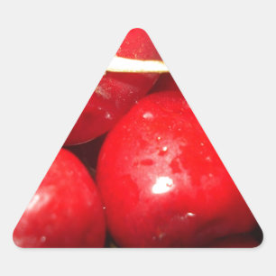 Cherries Art Photo Triangle Sticker