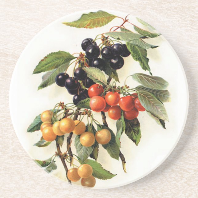 Cherries Botanical Print Coaster (Front)