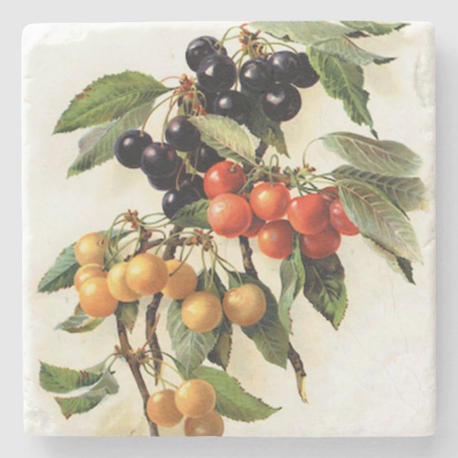 Cherries Botanical Print Square Stone Coaster (Front)