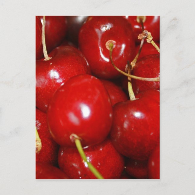 Cherries Design Postcard (Front)