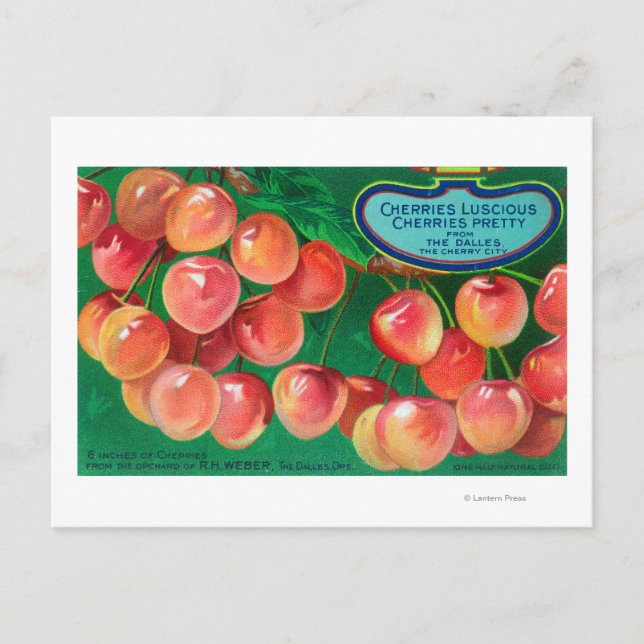 Cherries from the Cherry CityThe Dalles, OR Postcard (Front)