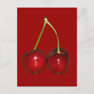 Cherries Postcard