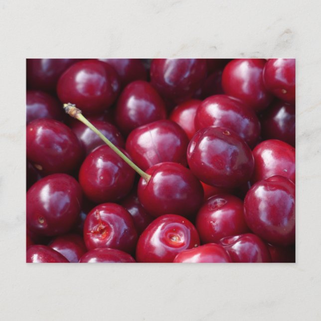 Cherries Postcard (Front)