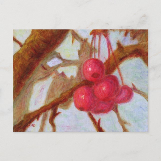Cherries, Postcard (Front)