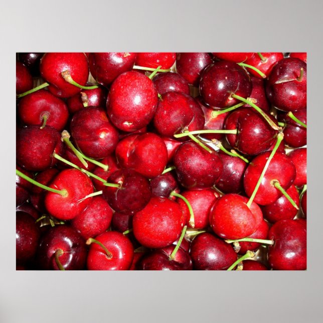 Cherries Poster (Front)
