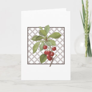 CHERRIES THANK YOU CARD