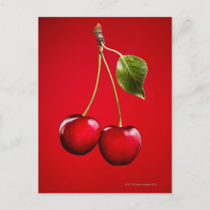 Cherries with Leaf on Red Background Postcard