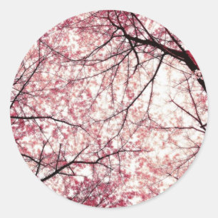 cherry blossom 2 classic round sticker