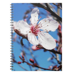 Cherry Blossom 2 Notebook