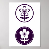 cherry blossom and apple blossom