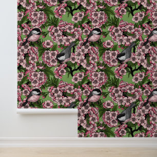 Cherry blossom and chickadees on green wallpaper