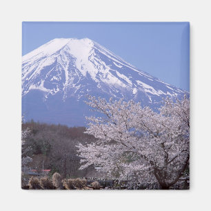 Cherry Blossom and Mt. Fuji Magnet