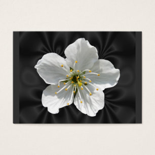 Cherry blossom ~ ATC