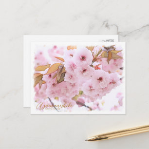 Cherry Blossom "Azuma-nishiki" Postcard