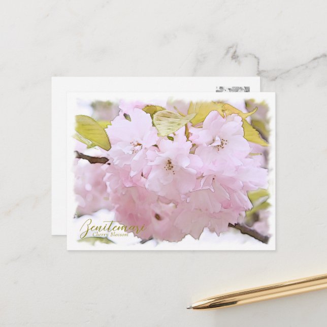 Cherry Blossom "Benitemari" ポストカード Postcard (Front/Back In Situ)