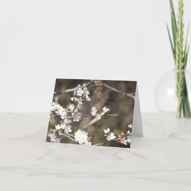 Cherry Blossom Blank Thank You Card (Front)