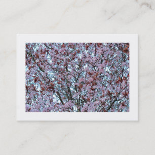 Cherry Blossom (Bordered) Business Card