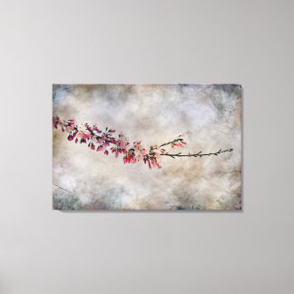 Cherry Blossom Branch Canvas Print