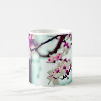 Cherry Blossom Branch