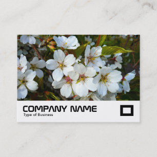 Cherry Blossom Business Card