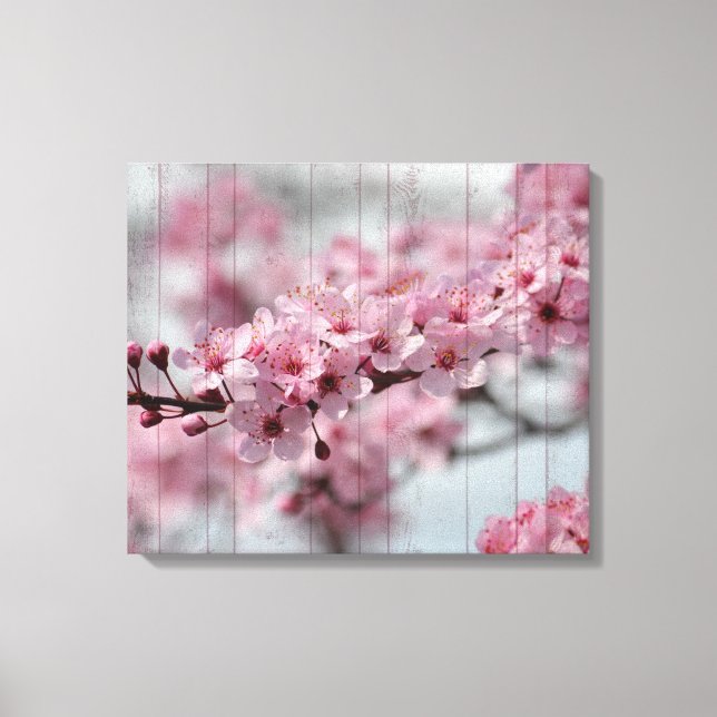 Cherry Blossom Canvas Print (Front)