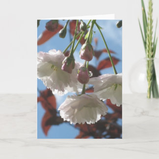 Cherry Blossom Card