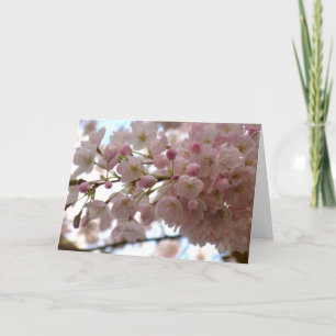 Cherry Blossom Card White Blossom Card Personalize