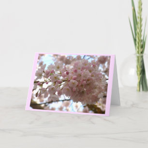 Cherry Blossom Card White Blossom Card Personalize