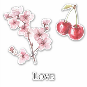 Cherry Blossom Cherries Love