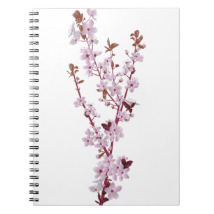 Cherry Blossom Cherry Tree 2 Notebook
